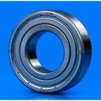 Фирменный подшипник SKF 205zz